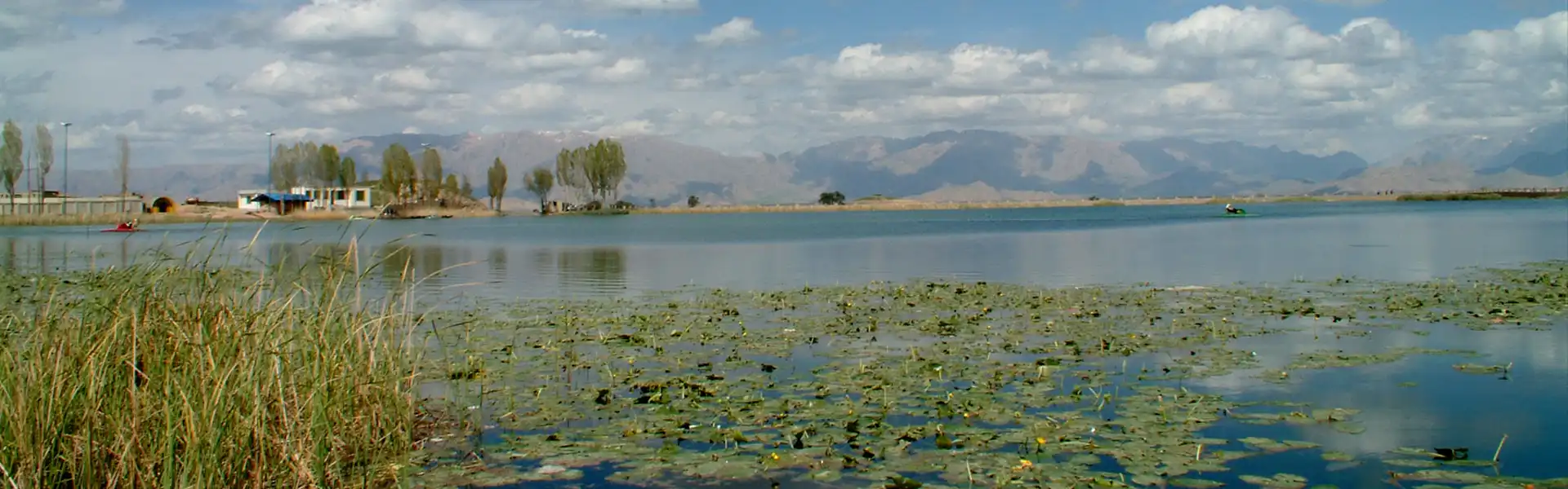 سراب نیلوفر